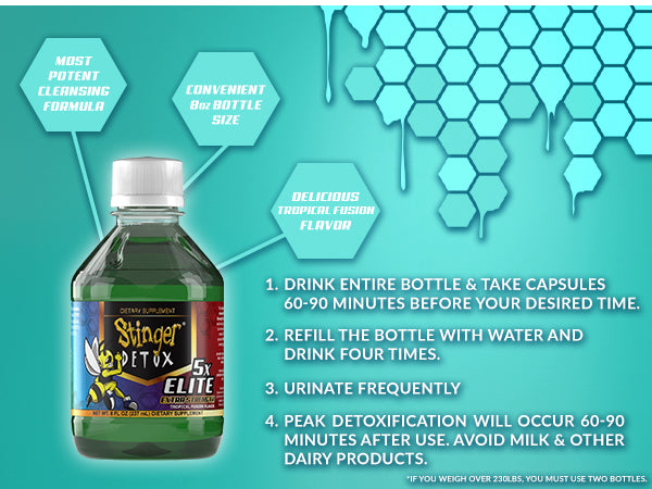 CHAMPS 2025 - Stinger 5x Elite Combo Pack | Tropical Fusion | 5x Instant - 8 OZ | 5x Buzz Caps - 4 Ct