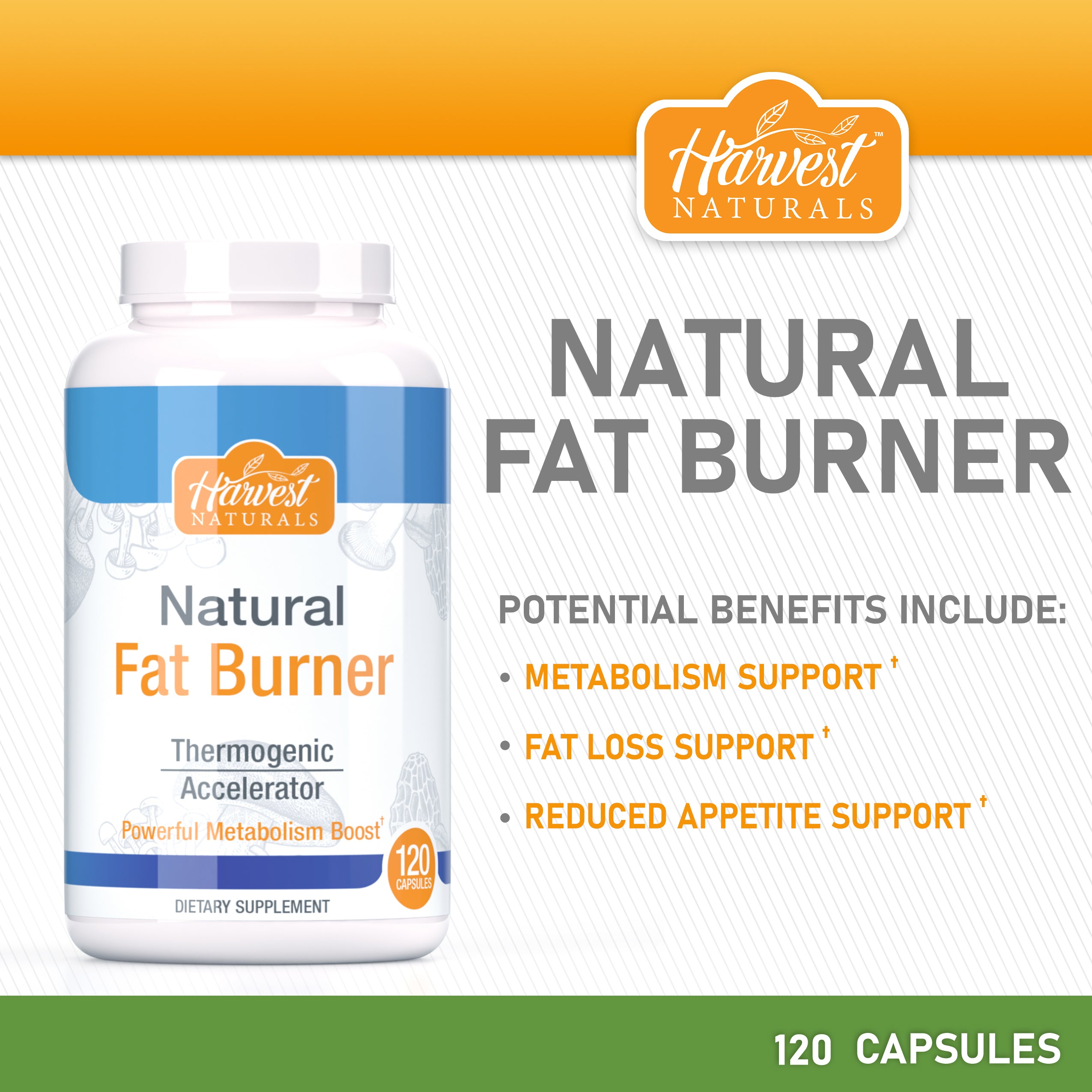 Natural Fat Burner Capsules | 120 Count
